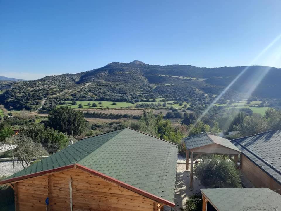Agios TheodorosHappy Glamping Cy别墅 外观 照片
