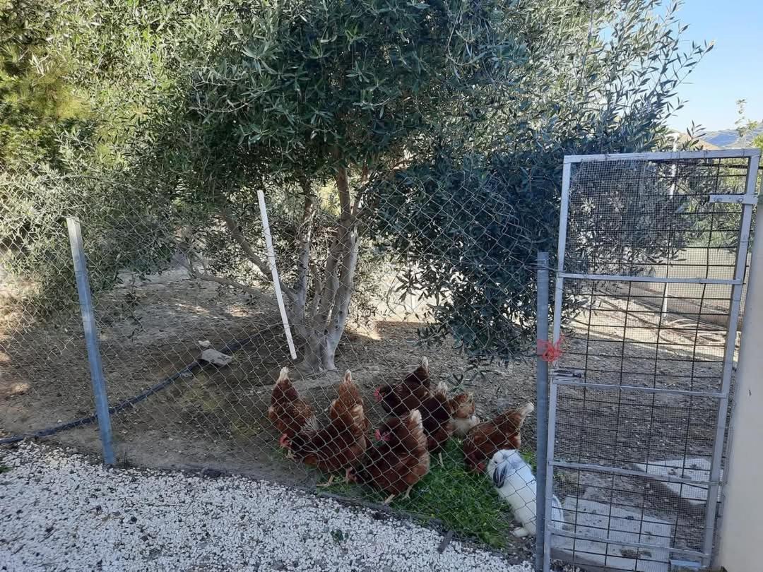Agios TheodorosHappy Glamping Cy别墅 外观 照片